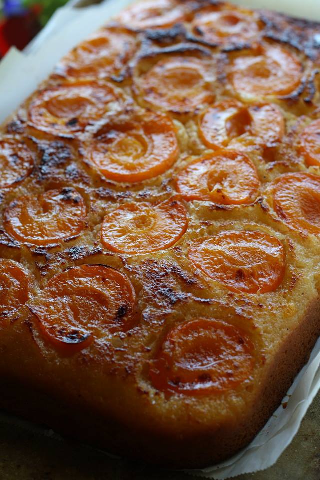 Blenheim Apricot & Olive Oil Cake