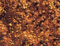 Kansas City Steak Rub