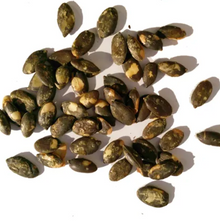 Pepitas Pumpkin Seeds