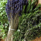Herbs De Provence-Infused Oil