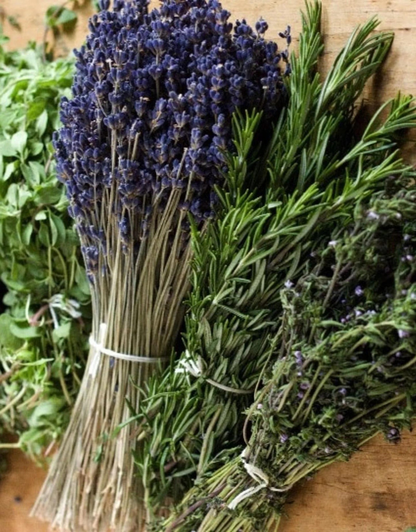 Herbs De Provence-Infused Oil
