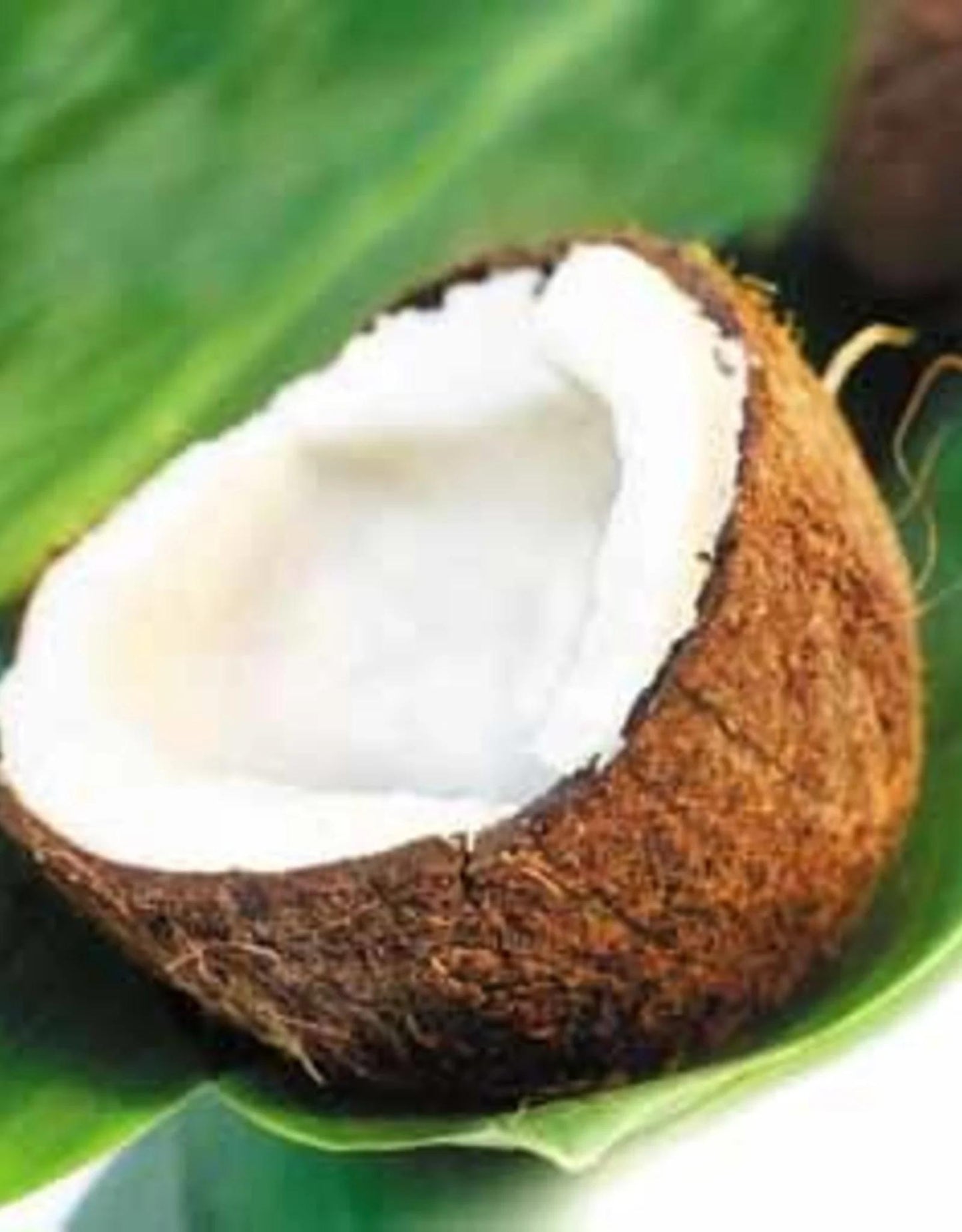 Coconut White Balsamic