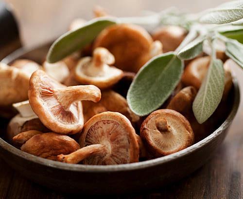 Wild Mushroom and Sage-Infused Oil