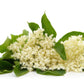 Elderflower White Balsamic