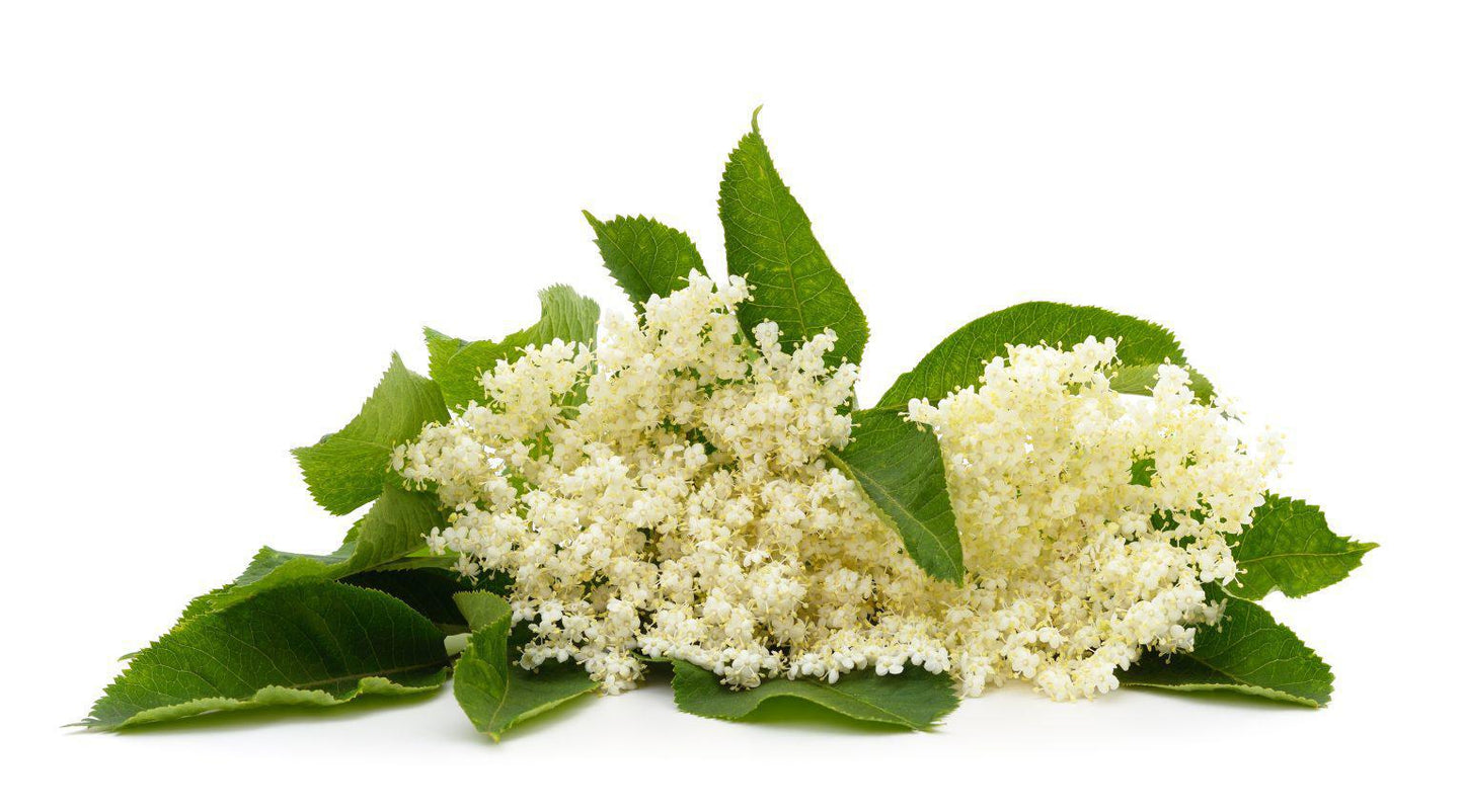 Elderflower White Balsamic