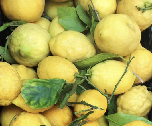 Sicilian Lemon White Balsamic