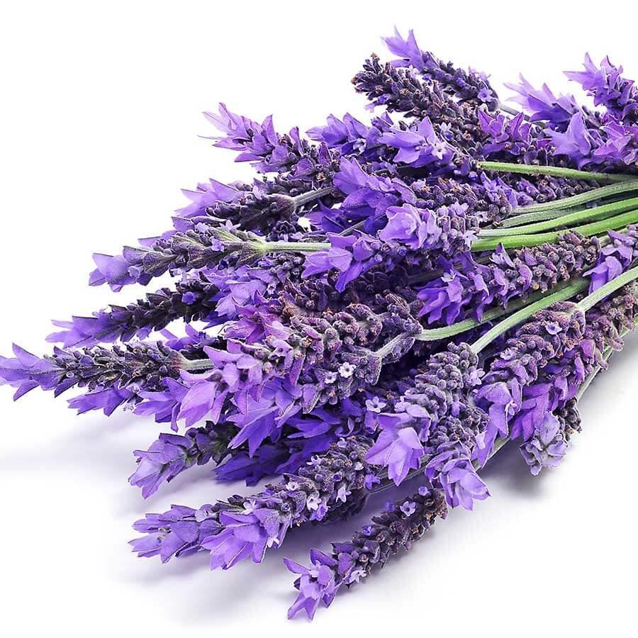 Lavender Dark Balsamic