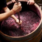 Red Barrel Aged Wine Vinegar