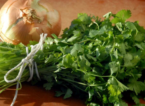 Cilantro and Roasted Onion-Infused Oil