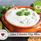 Lime Cilantro Dip Mix